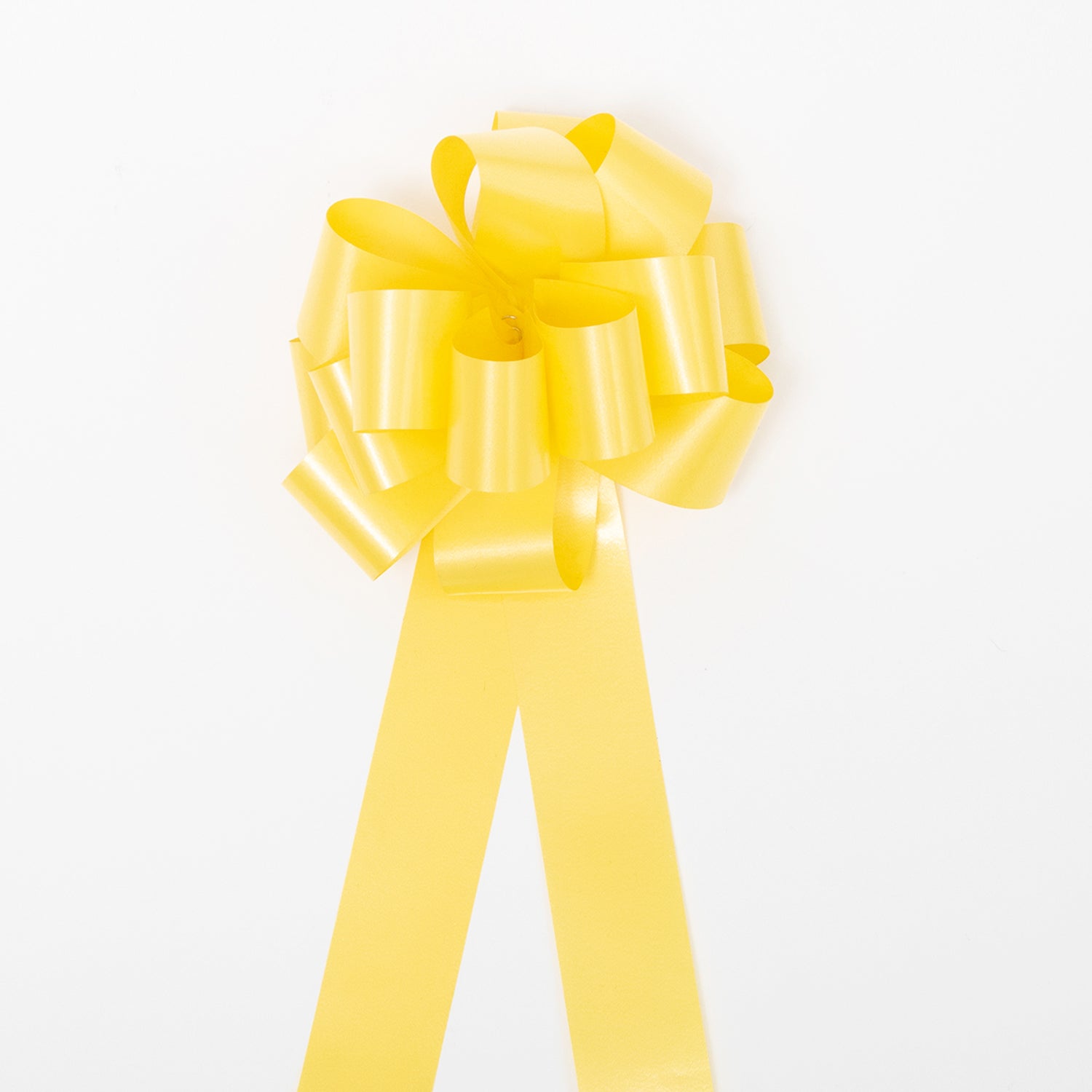 Coccarda ad Anelli autotirante 31 mm Giallo