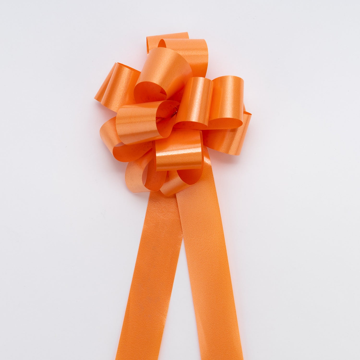 Coccarda ad Anelli autotirante 31 mm Arancione