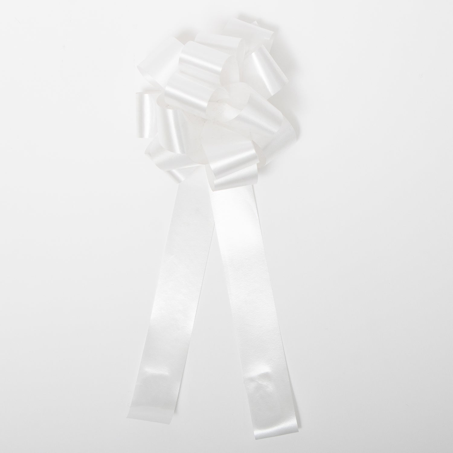 Coccarda ad Anelli autotirante 31 mm Bianca