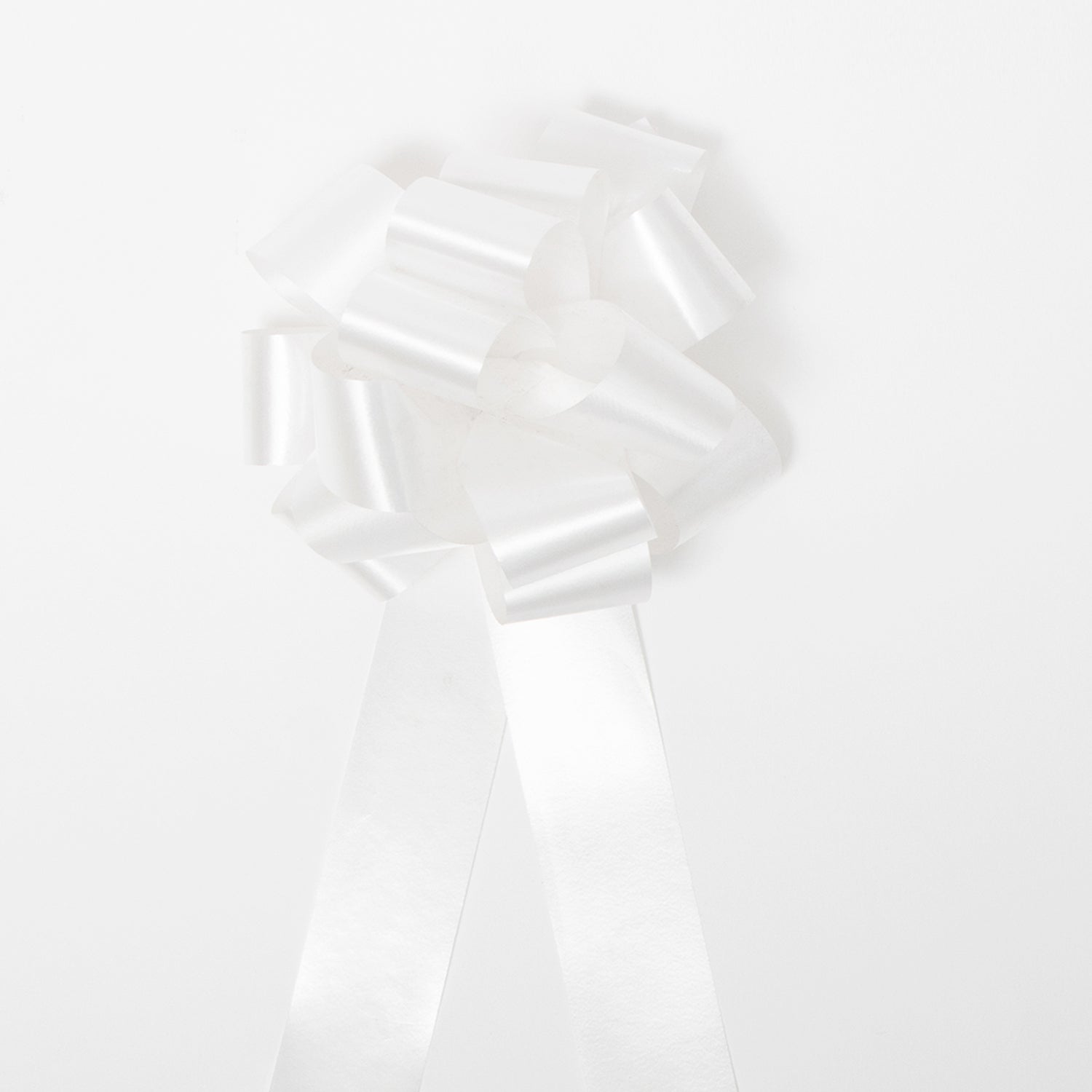 Coccarda ad Anelli autotirante 31 mm Bianca