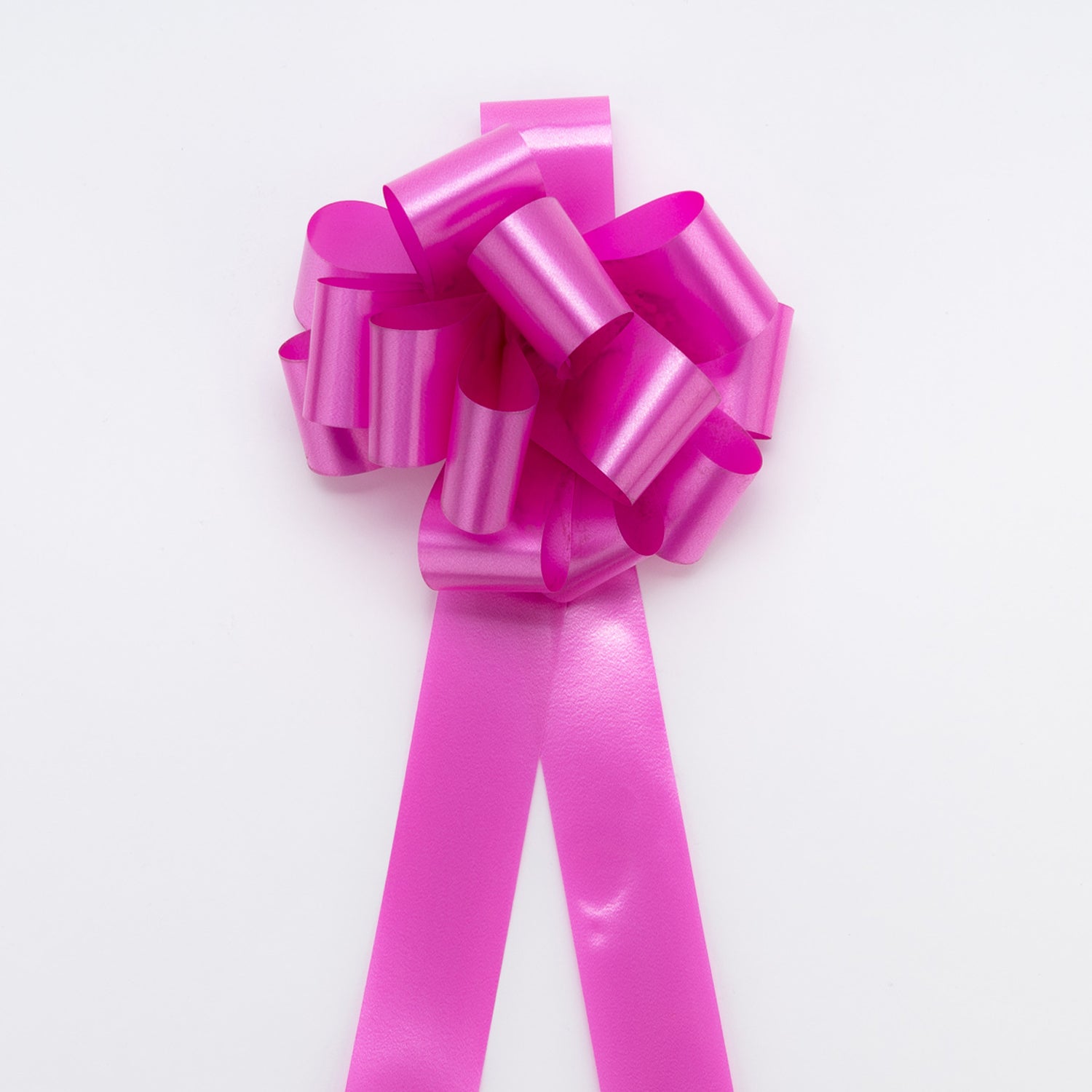 Coccarda ad Anelli autotirante 31 mm Fucsia