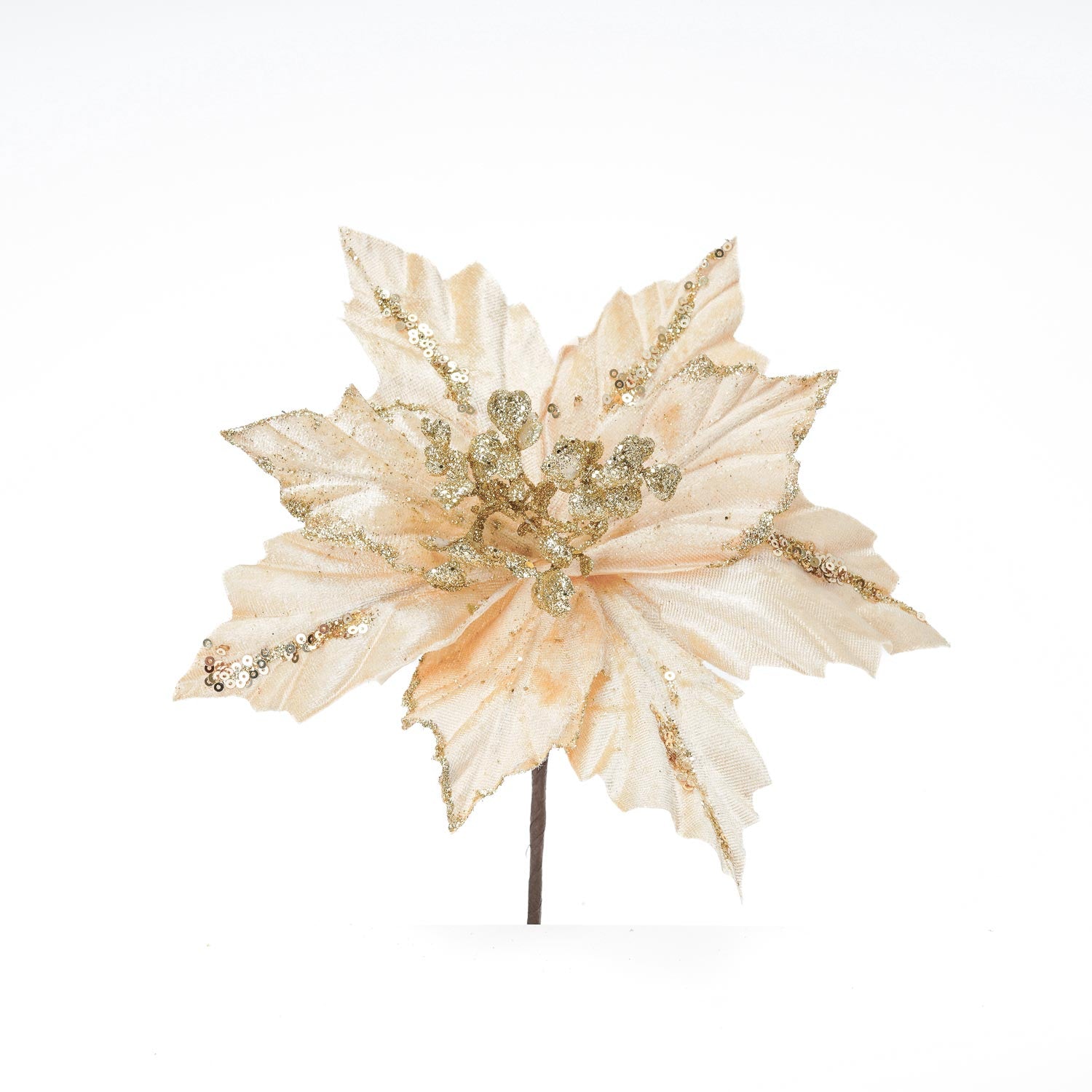 Fiore Stella di Natale velluto Champagne 29,5x20cm