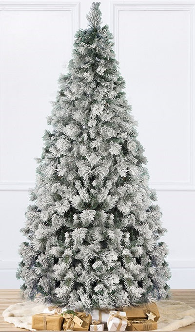 Abete Religiosa innevato H 240cm