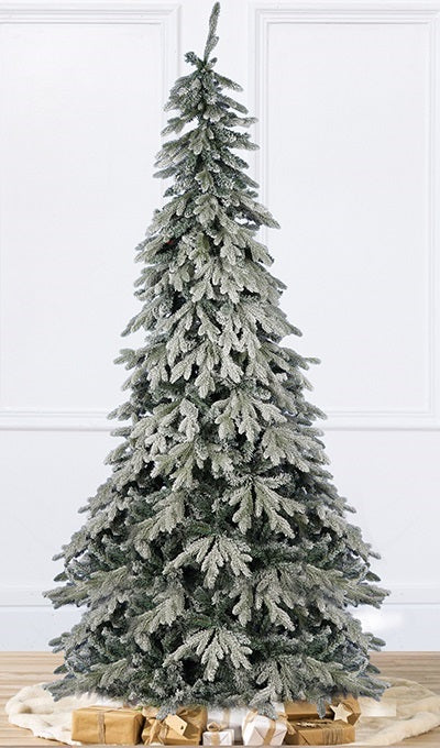 Abete Argentato H 180cm