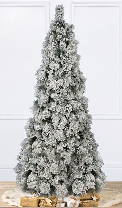 Abete Diamond innevato con pigne H 240cm