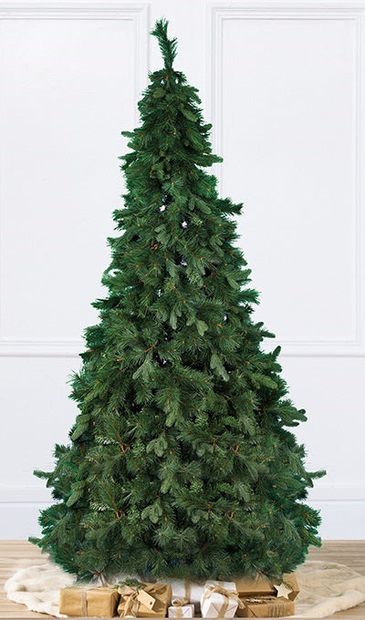 Abete Verde Magnifica H 270cm