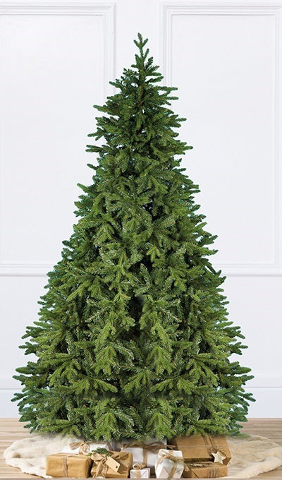 Abete Forrest H 210cm, D.140cm