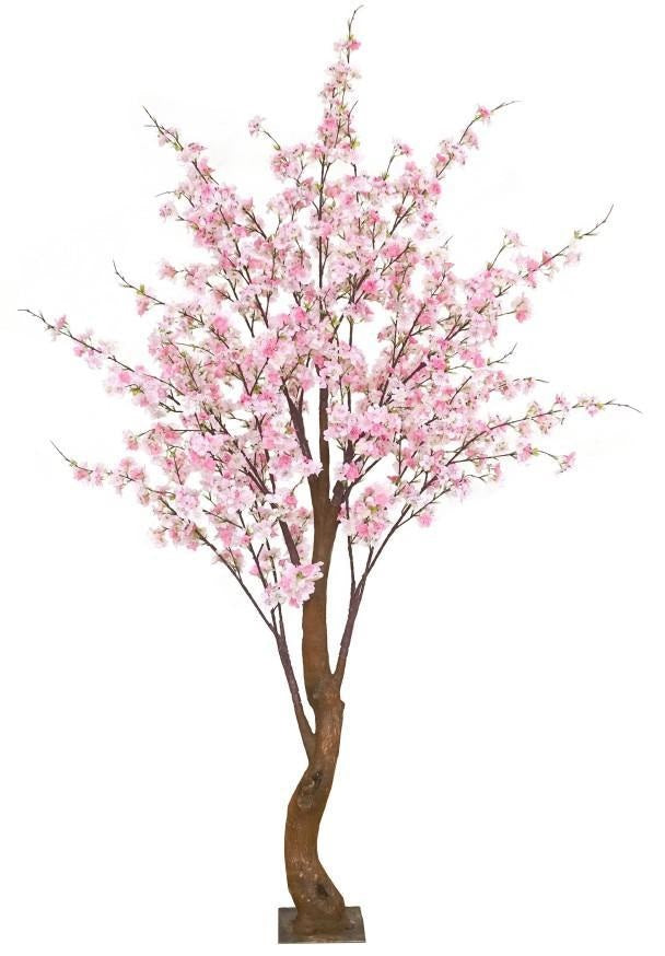 Albero di pesco con foglie rosa, H.230x160CM