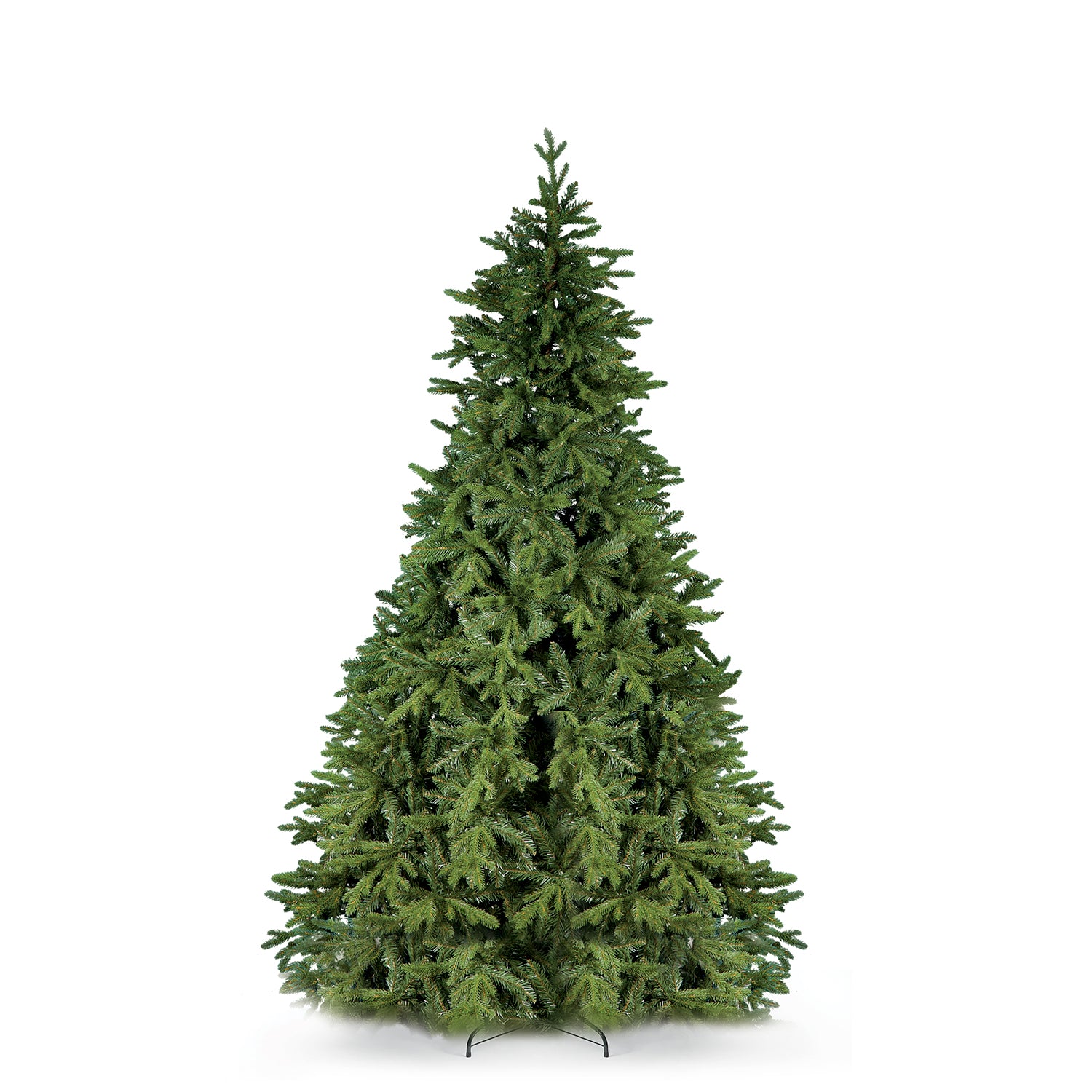 Abete Forrest H 270cmD.170cm