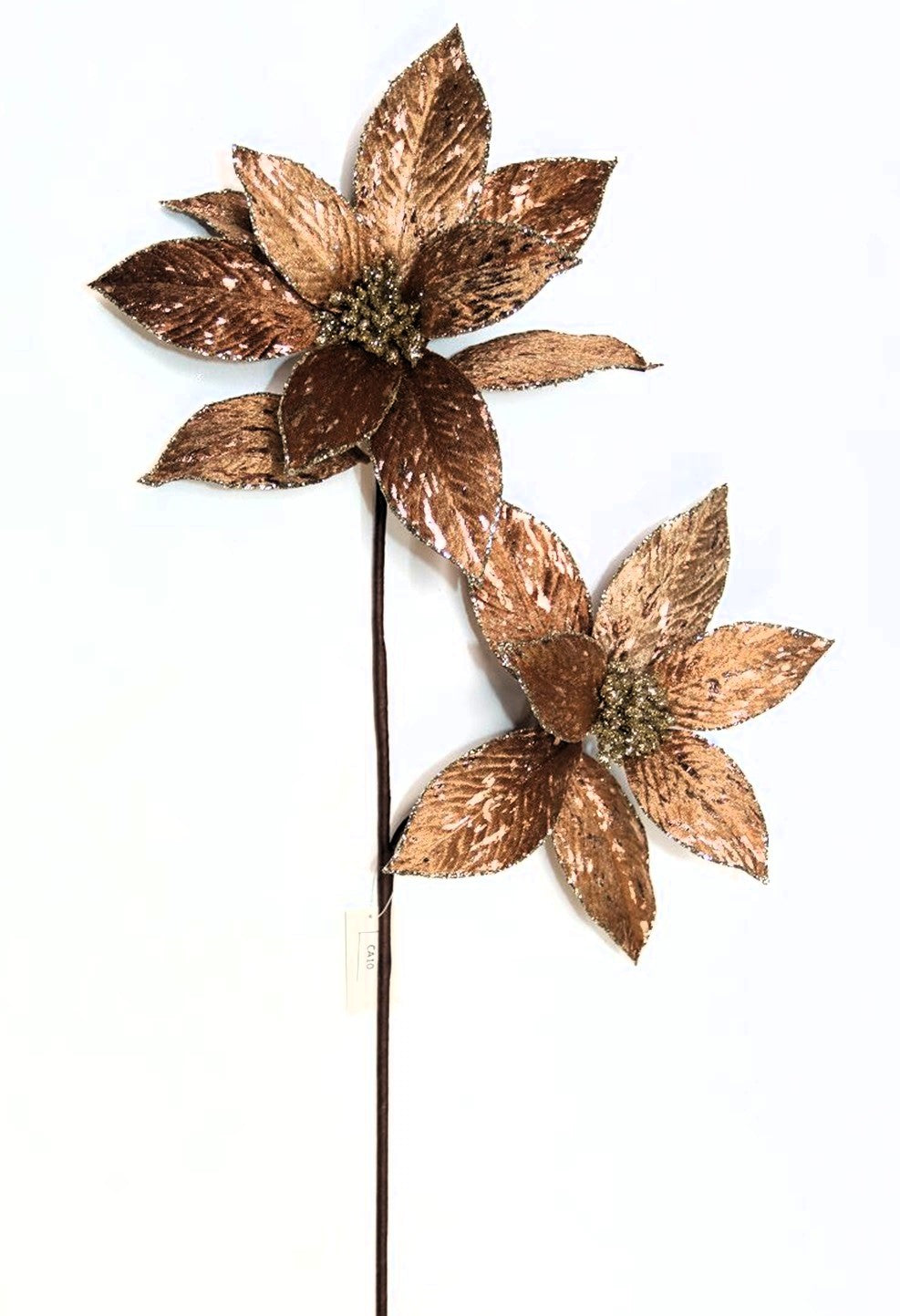Ramo 2 stelle di colore marrone con Glitter, decorazione Natalizia.