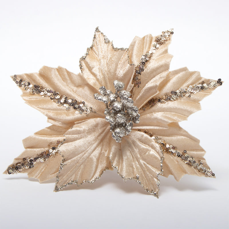 Fiore Stella di Natale velluto Champagne 29,5x20cm