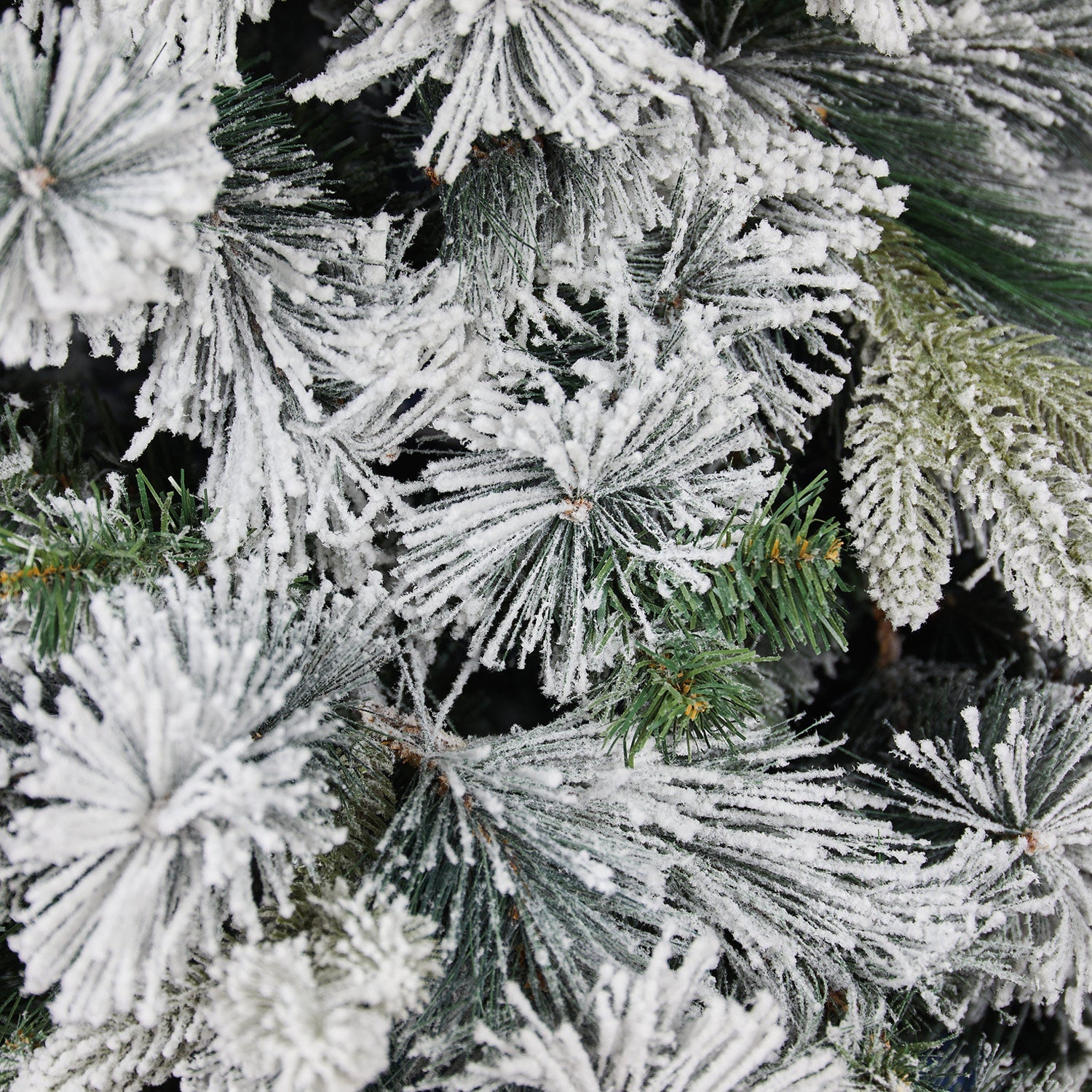Abete Magnifica innevato H 210cm