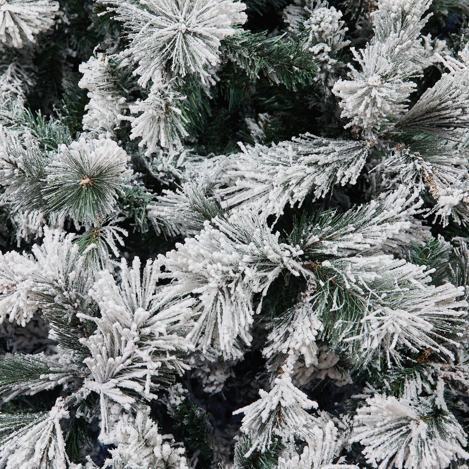 Abete Religiosa innevato H 180cm