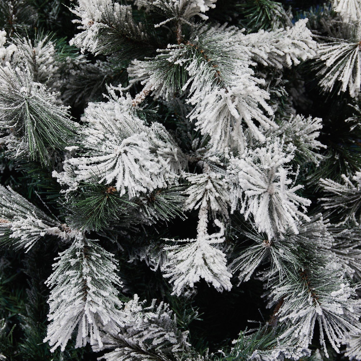 Abete Religiosa innevato Slim H 210cm