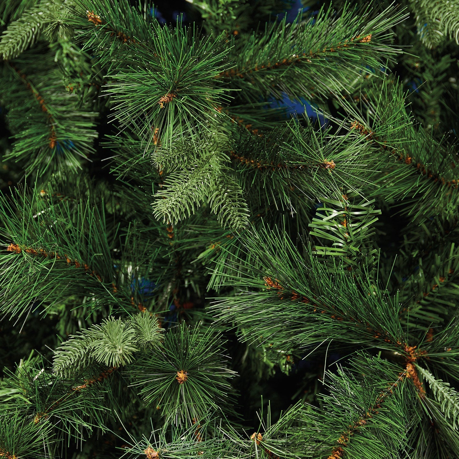 Abete Verde Magnifica H 270cm