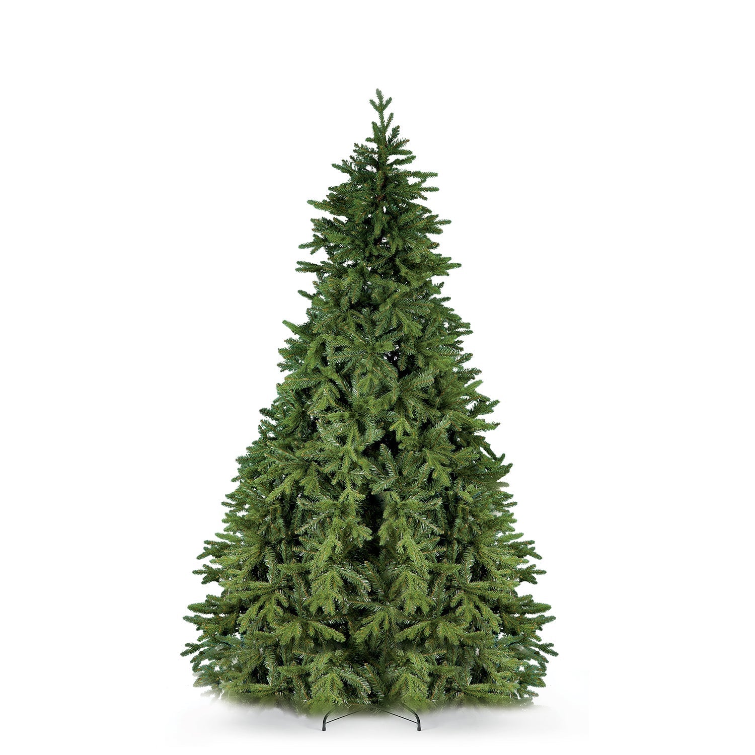 Abete Forrest H 180cm, D.121cm