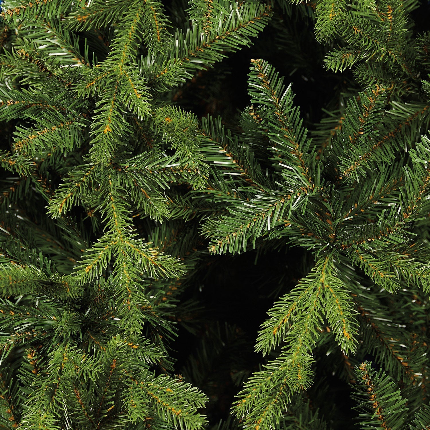Abete Forrest H 180cm, D.121cm