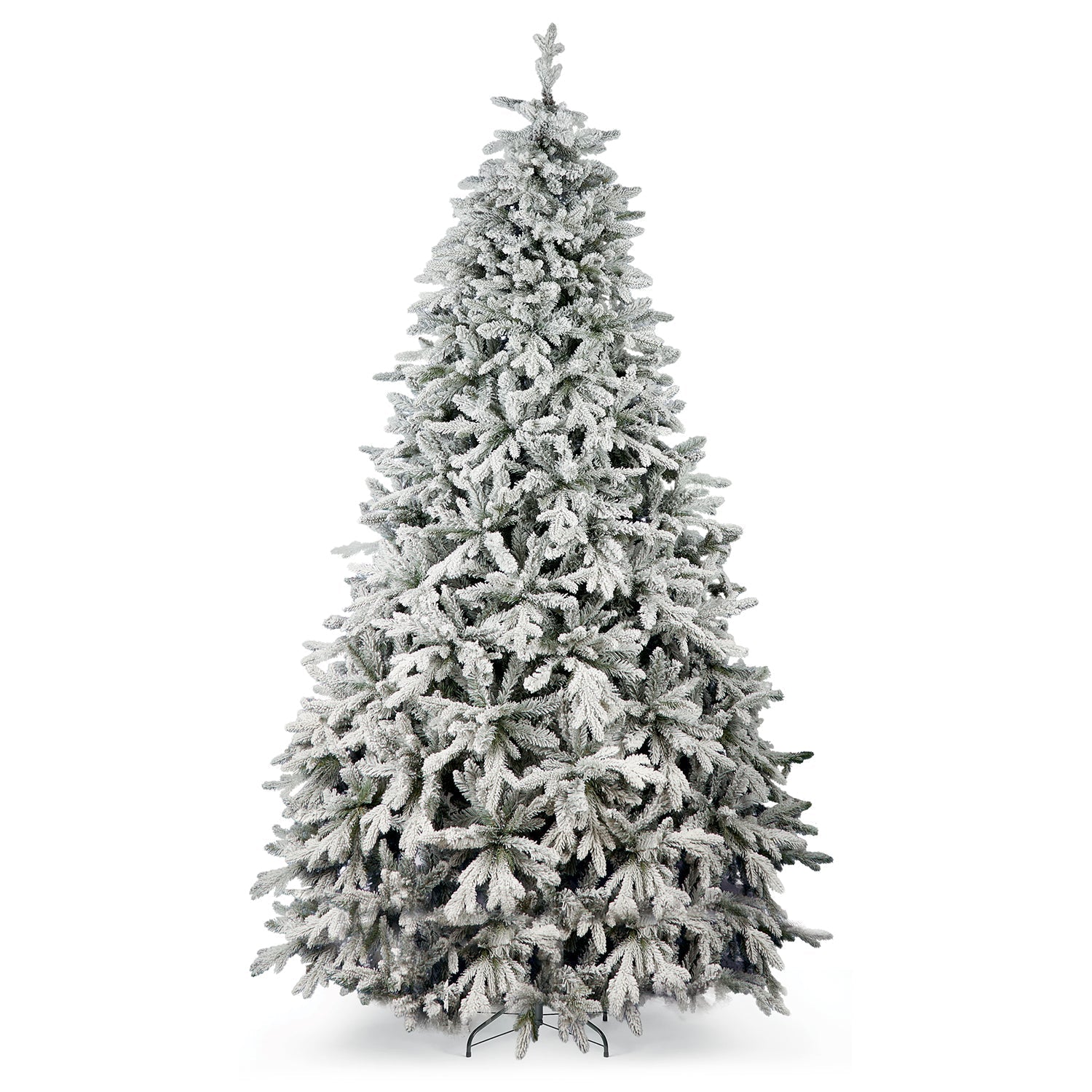 Abete Procera innevato H 210cm,140cm