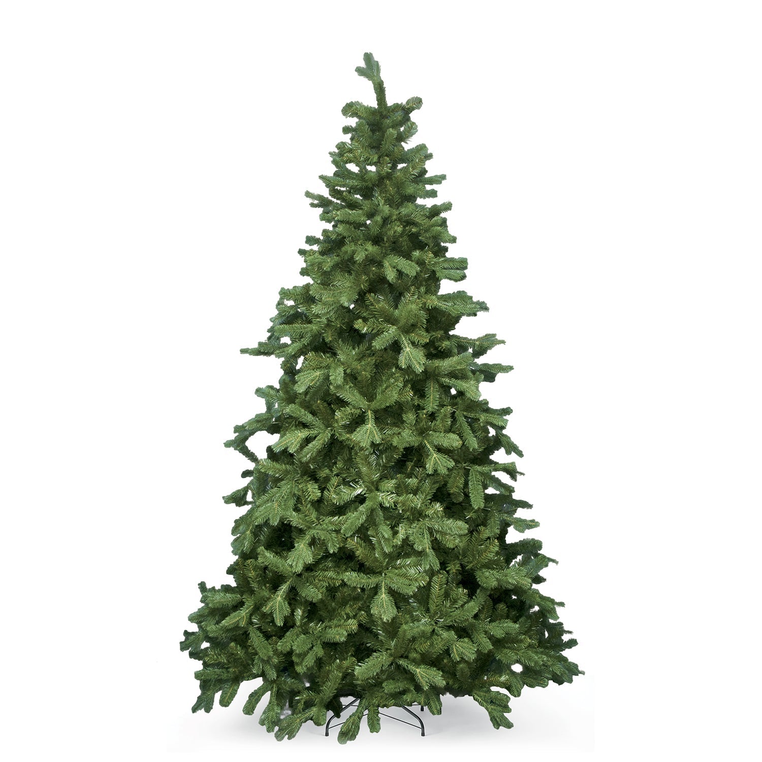 Abete Pinsapo H 240cm, D.150cm