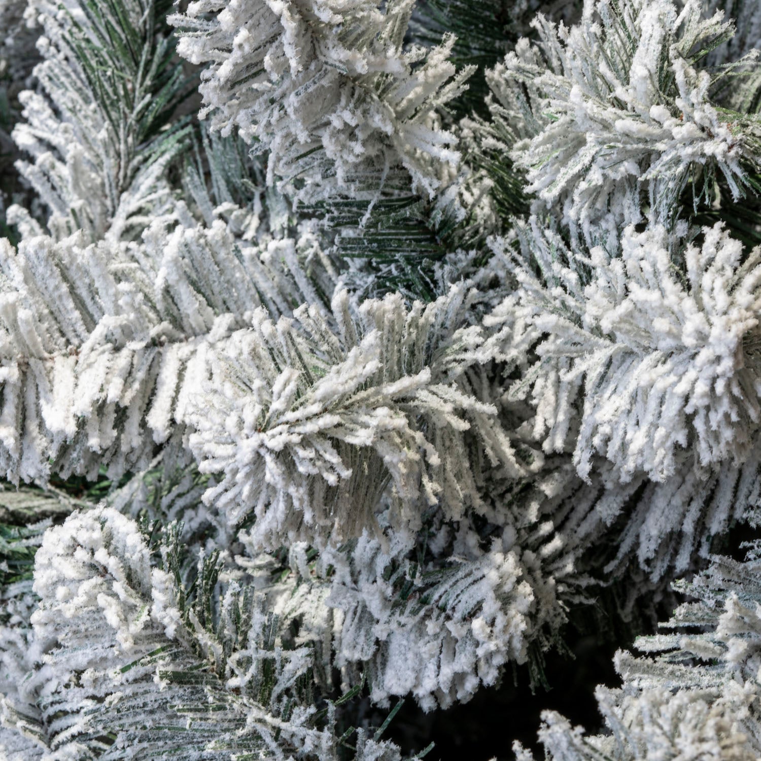 Abete Grandis innevato H 240cm, D.142cm