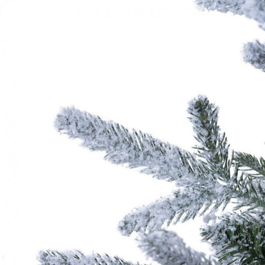 Dettaglio ramo albero di Natale Silani Magnifica